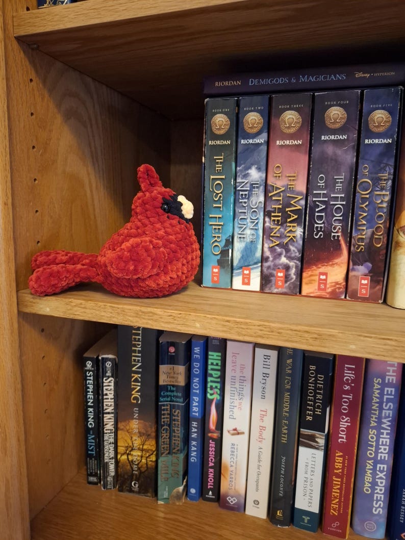 May include: A plush, crocheted cardinal bird with a vibrant red, textured yarn body, a black face mask, and a small, light-colored beak. The bird is positioned on a wooden shelf next to a collection of books, including the Heroes of Olympus series.
