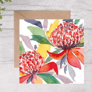 Nativos australianos, cartões comemorativos, aquarela, waratah