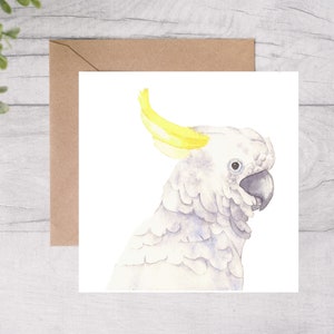 Australian Birds, greeting Cards, watercolour, Sulphur Crested Cockatoo