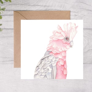 Australian Birds, greeting Cards, watercolour, Galah