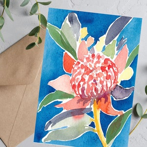 Flores nativas australianas, cartões comemorativos, aquarela, waratah