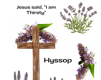 Christian Printables For Women Hyssop Christian Printables For Women Hyssop