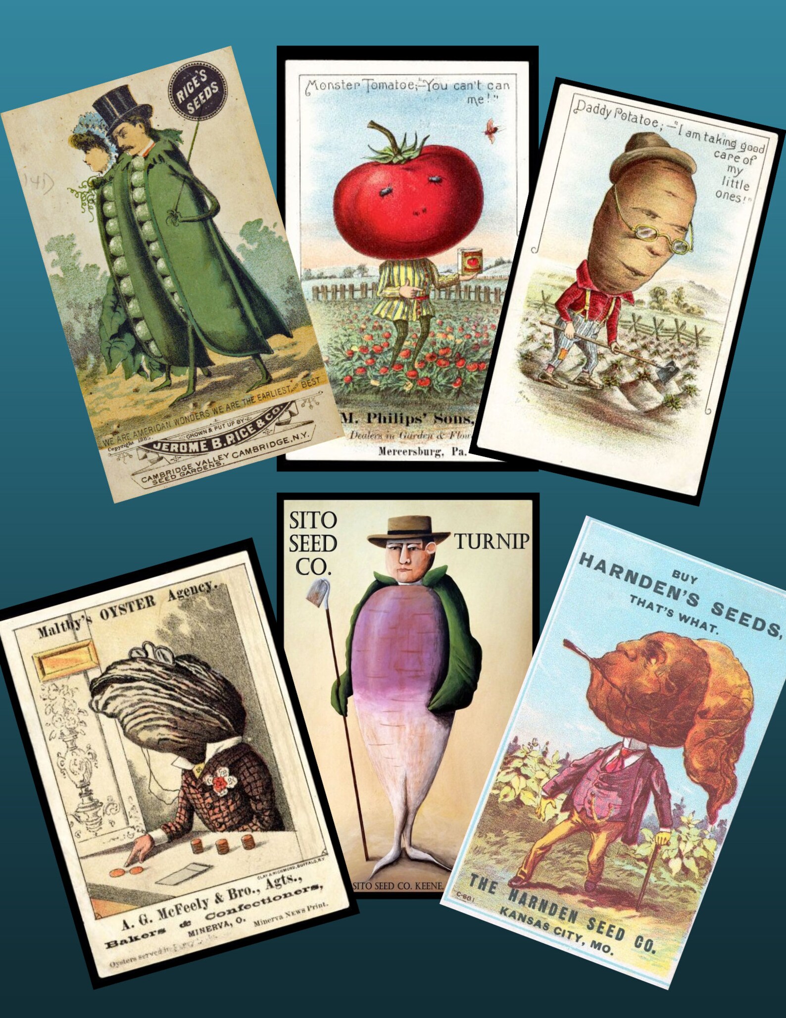 Vintage Victorian Trading Cards Of Vegetable People For Junk Etsy
