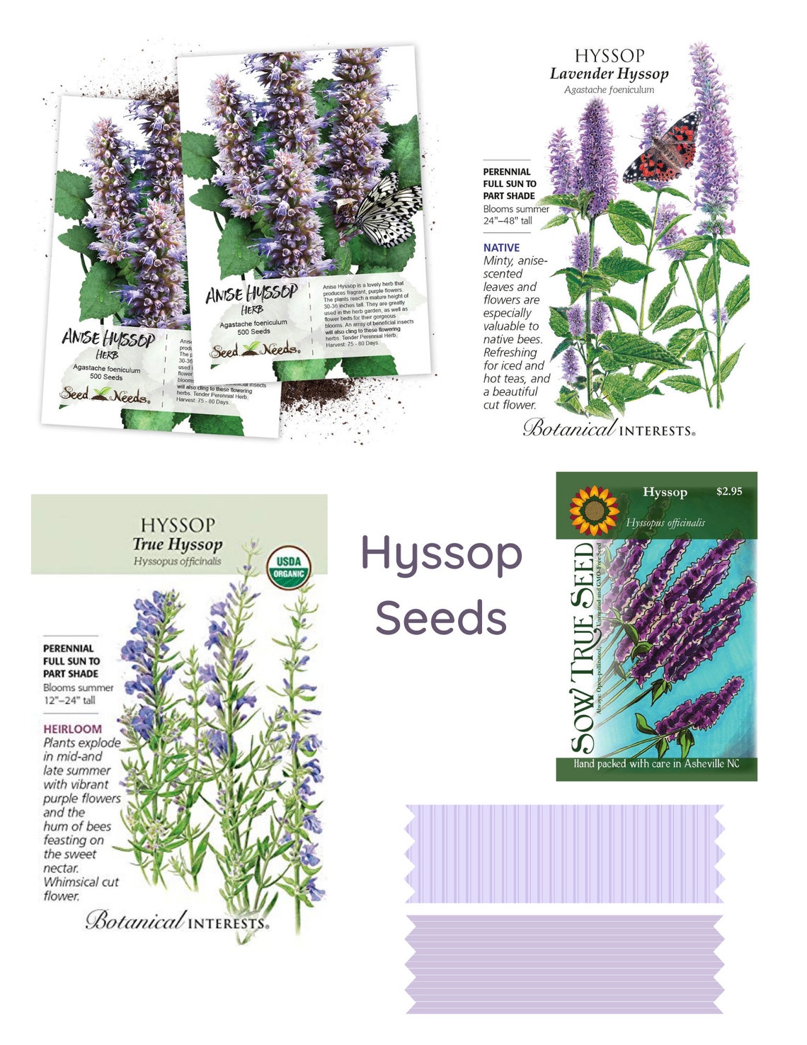 Bible Journaling Printable Set on Hyssop Illustrated Faith - Etsy