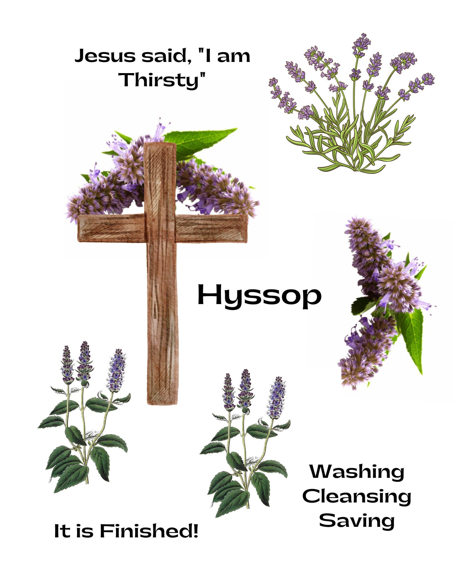Bible Journaling Printable Set on Hyssop Illustrated Faith | Etsy