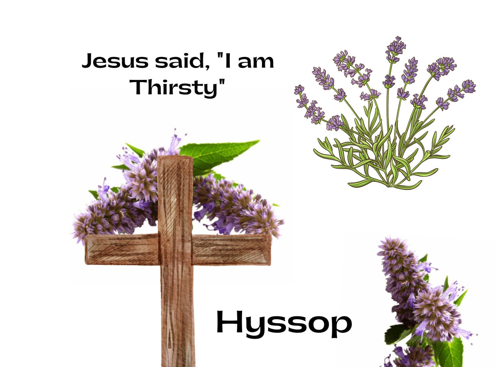 Bible Journaling Printable Set on Hyssop Illustrated Faith - Etsy