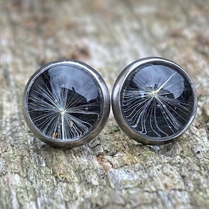 Real dandelion seed 8mm stud earrings, dandelion earrings, dandelion gift, army brat gift,