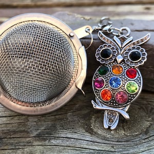 May include: A silver tea infuser with a mesh ball and a decorative owl charm. The owl is adorned with colorful rhinestones.