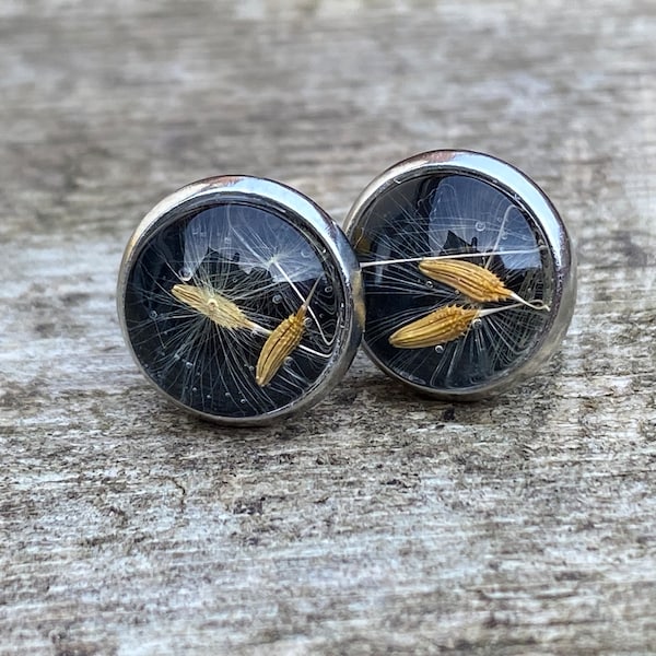 Real dandelion seed stud earrings, dandelion earrings, dandelion gift, army brat gift