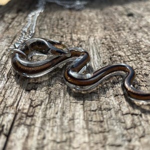 Peut inclure: Un collier avec un pendentif en forme de serpent en verre sur une chaîne argentée. Le serpent est enroulé dans une pose réaliste avec du verre brun et transparent.