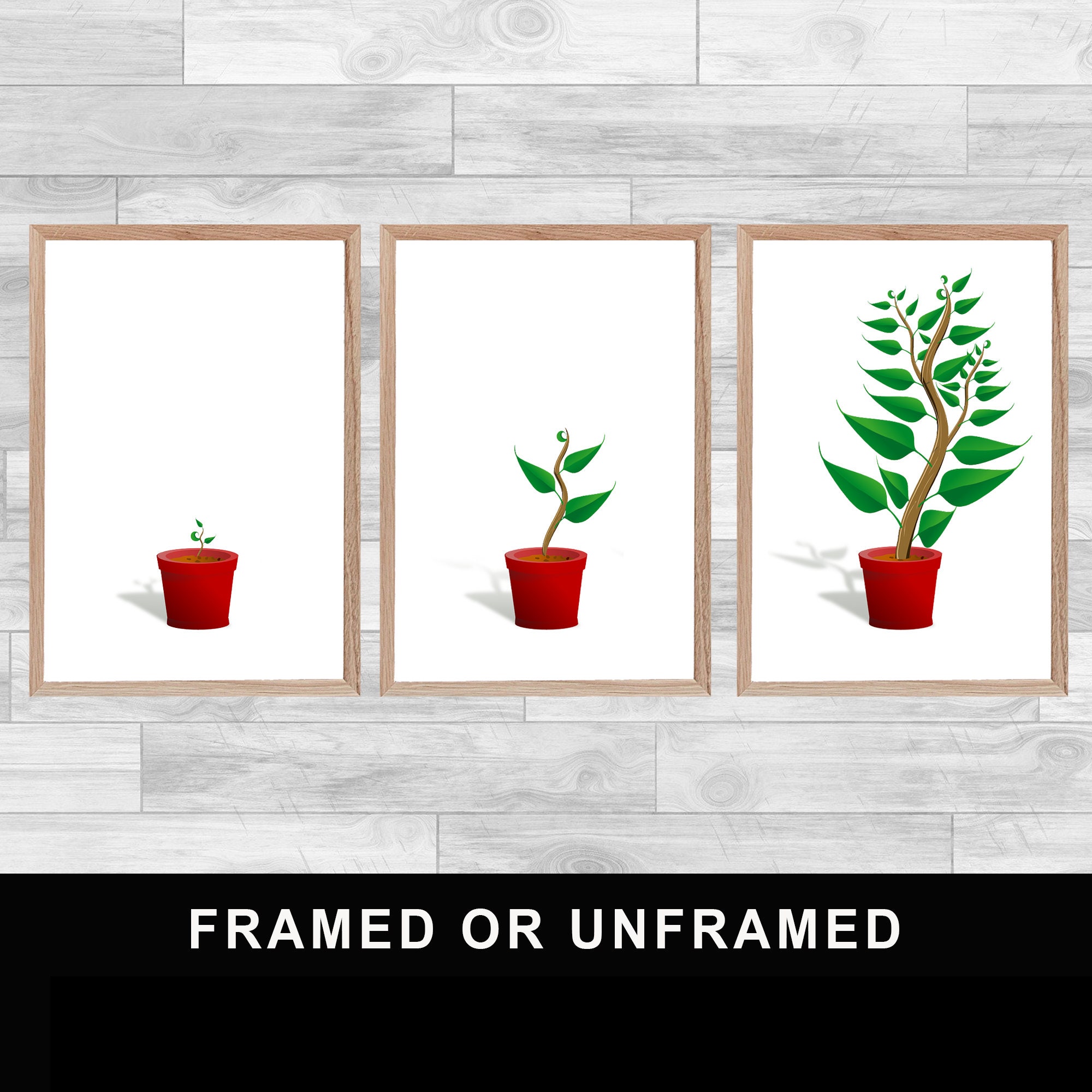 Framed Or Unframed Set Of 3 Growing Plant Prints Spirituality Lily Flowers Wall Art Watercolor Home