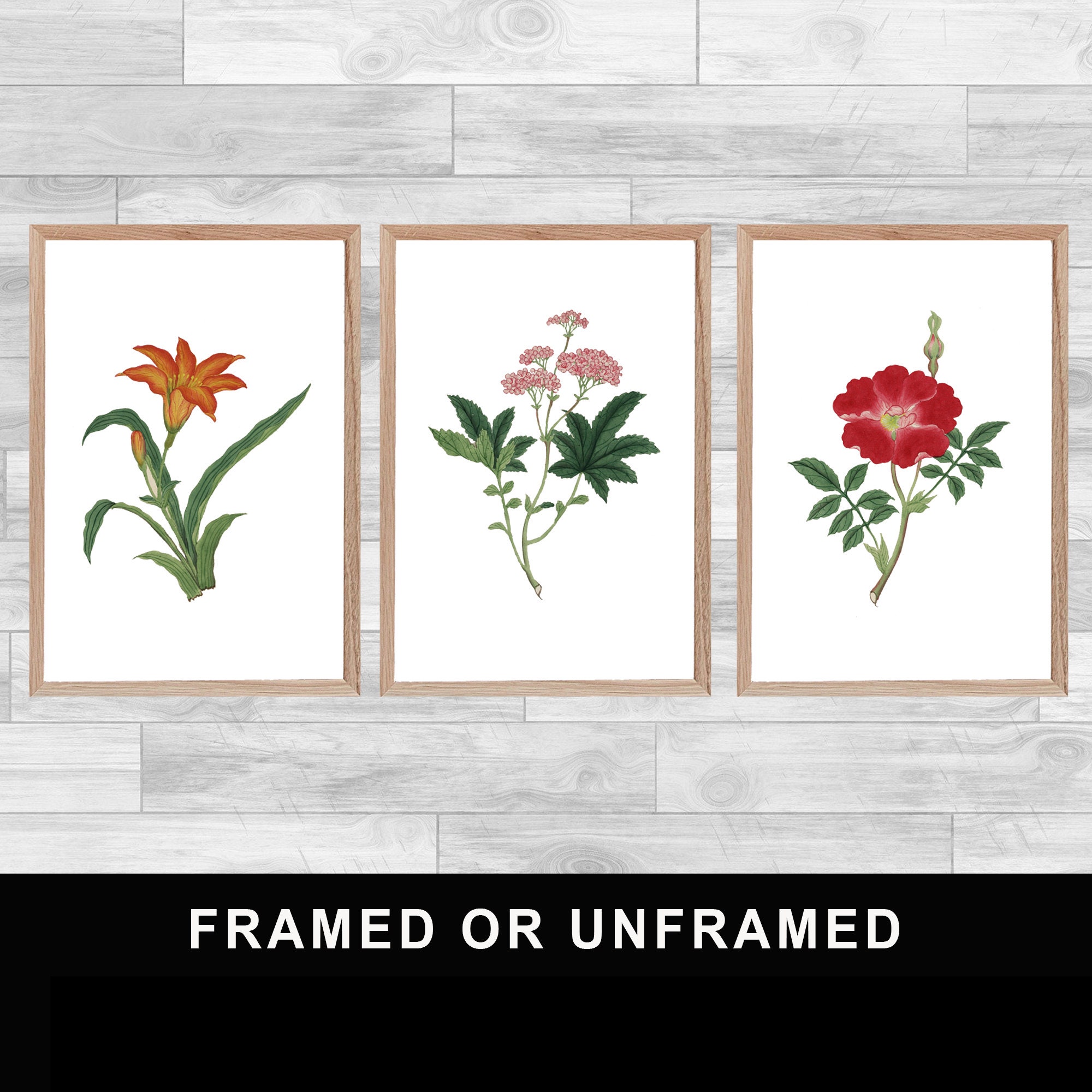 Framed Or Unframed Set Of 3 Flowers Prints Spirituality Lily Flowers Wall Art Watercolor Home Decor