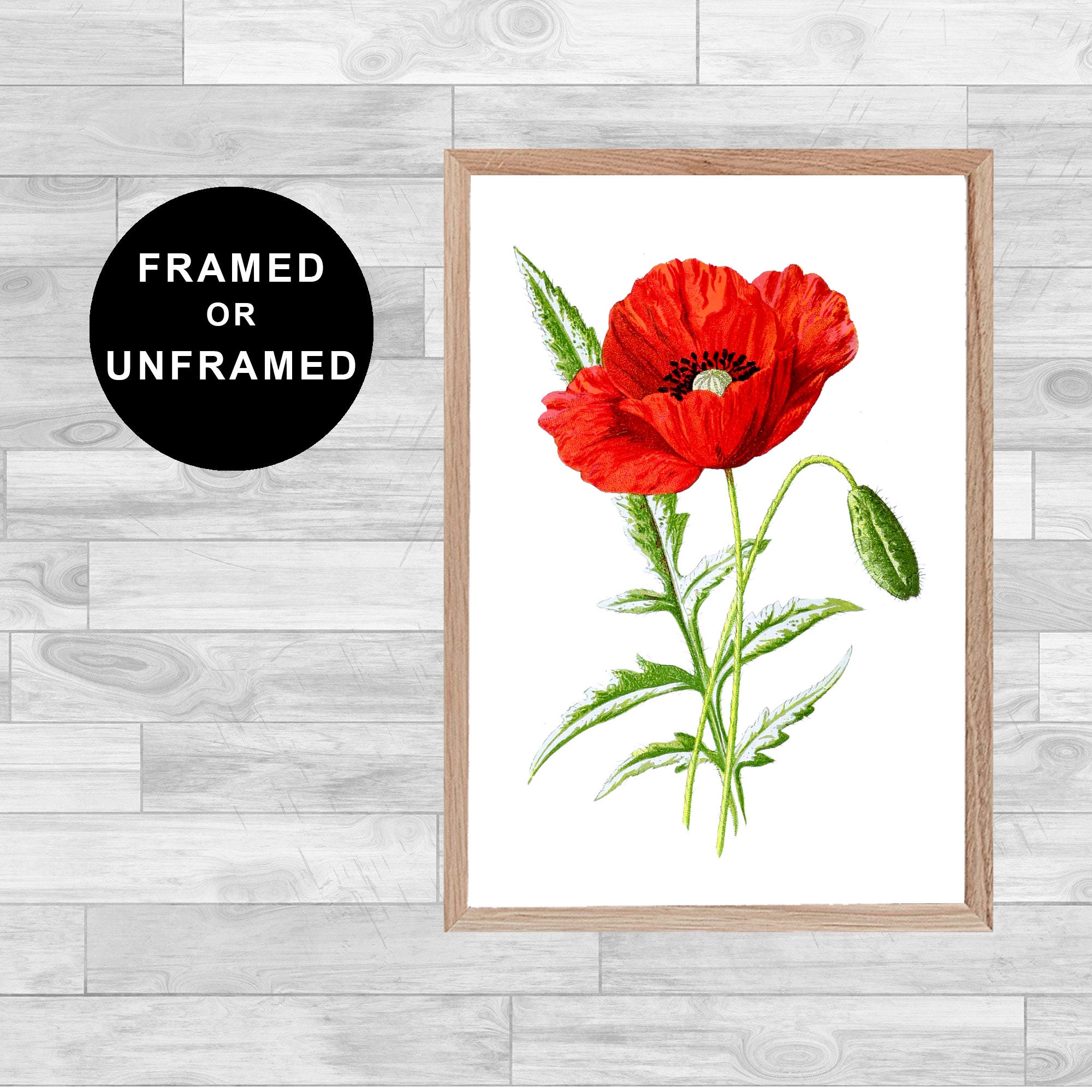 FRAMED OR UNFRAMED Poppy Flower Print spirituality wall art Etsy