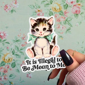 It Is Illegal to be Mean to Me Sticker, Cute Retro Cat, Be Nice to Me Even Though I am Kinda Mean, Funny Kitsch Sticker, Coquette Kitten