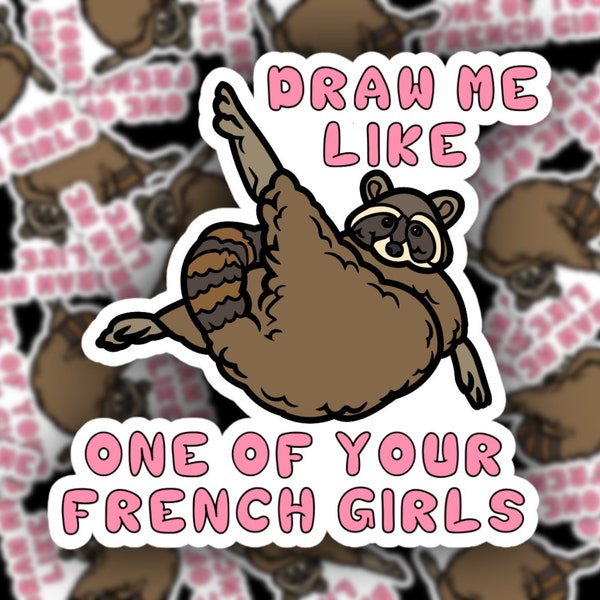 Raccoon Sticker, Draw Me Like One of Your French Girls, Funny Trash Panda, Weird Animals Water Bottle Decal