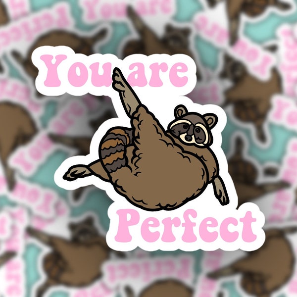 Raccoon Bandit - Etsy