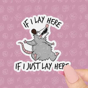 Sticker opossum, autocollant drôle de bouteille d'eau si je pose ici, si je viens de poser ici opossum, autocollants meme dysfonctionnement exécutif