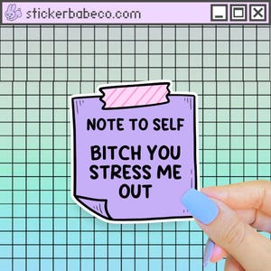 Note to Self B!tch You Stress Me Out Sticker, Funny Mental Health Water Bottle Decal, Probably Anxious, Cute Sticky Note Sticker, Depression immagine 2