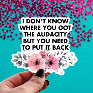 Don’t Know Where You Got The Audacity But You Need to Put It Back Vinyl Sticker, Funny Quote, Floral Decal, Snarky Sarcastic Tumbler Decal