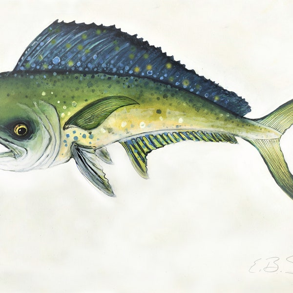 Mahi / Dorado / Dolphinfish Watercolor Original Painting Print by Brenton Sadreameli 24 x 16