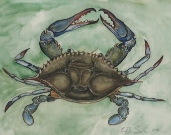 Blue Crab Watercolor and Gauche Original Painting Print by Brenton Sadreameli  20" x 15"
