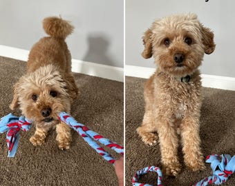 Braided Fleece Dog Tug Toy: Washable, Durable Pet Toy