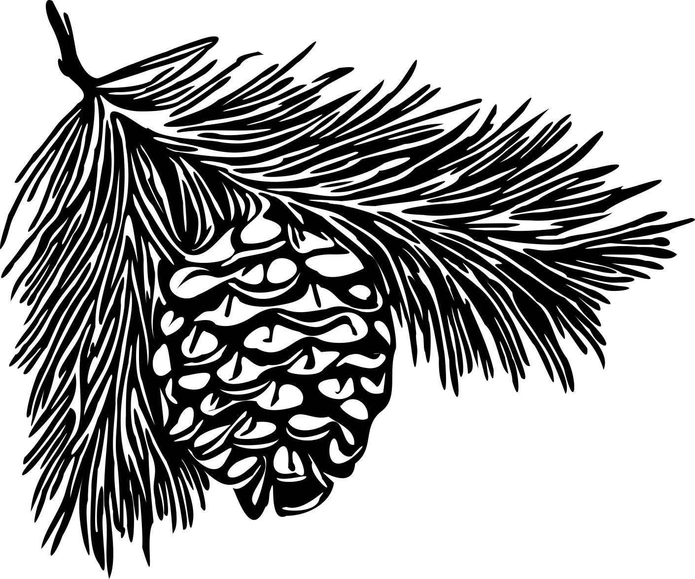 Pine Cone Drawing PNG clip art vintage digital stamp instant Etsy