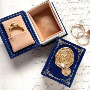 Boîte à bagues de fiançailles livre, proposition personnalisée, boîte à bagues, porte-bague fantaisie, cadeau unique pour petite amie, proposition vintage, souvenir, bleu velours
