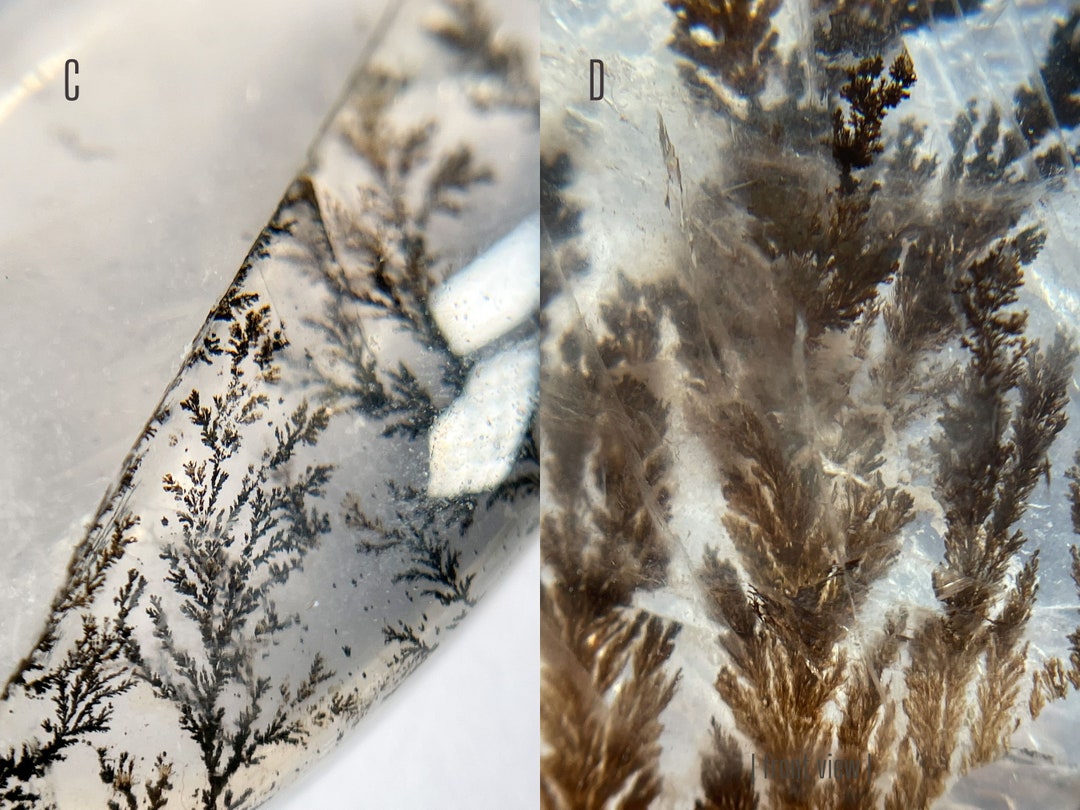 Dendritic Quartz High Grade Dendritic Quartz Palm Stone Dendrite