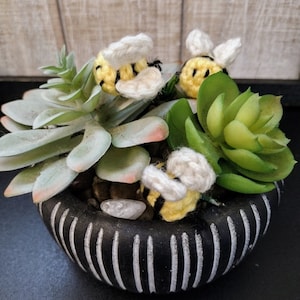 May include: A black and white striped planter with three crocheted bumblebees, surrounded by green succulent plants.