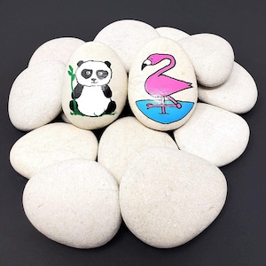 Stenen voor het beschilderen van kiezels tuin wit grind sierstenen groot natuursteen siergrind kiezels - aquarium decoratieve tuinstenen wit groot 4-8 cm