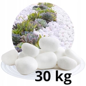 Witte stenen voor tuindecoratie kiezels grote decoratieve stenen aquariumkiezels voor vazen grind tuinstenen wit groot decoratief grind tuindecoratie 30 kg