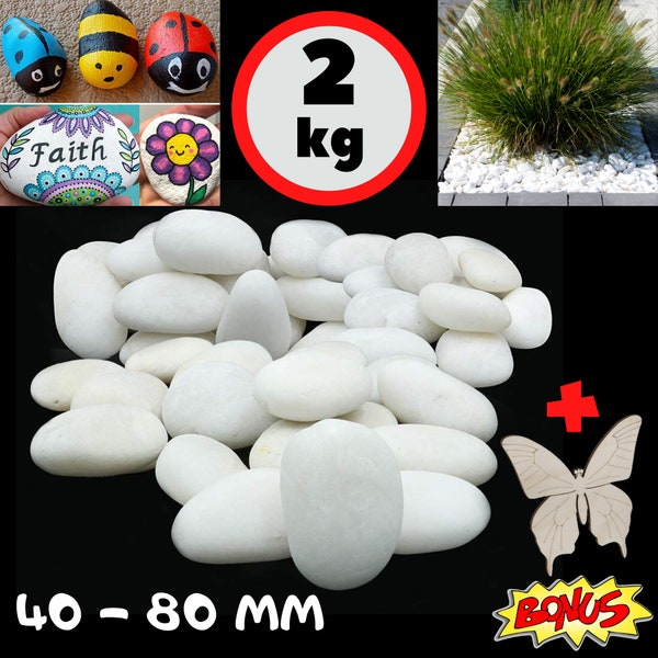 Steine zum Bemalen Kieselsteine Garten Weiße Kies Dekosteine Groß Naturstein Zierkies Kiesel - Aquarium Deko Gartensteine Weiss Gross 4-8 cm