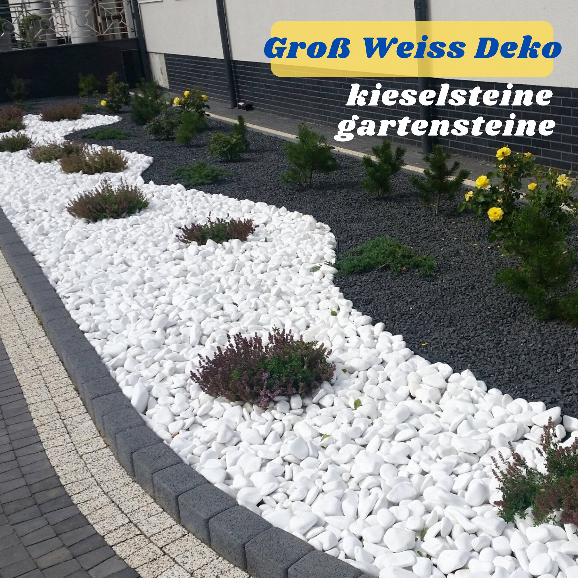 40 Pièces Galets a Peindre Galets Peinture DIY Naturelles Pierres Plates a Peindre Galets de Plage pour Dessin Peintes GALET DECO - Jardin