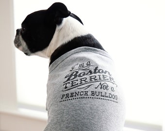 Clevotine Boston Terrier Not a Frenchie Dog Shirt