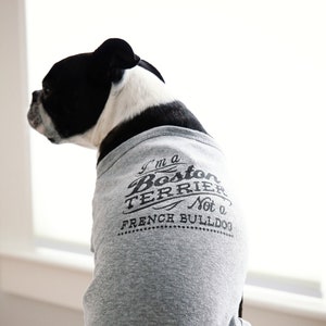 Clevotine Boston Terrier Not a Frenchie Dog Shirt