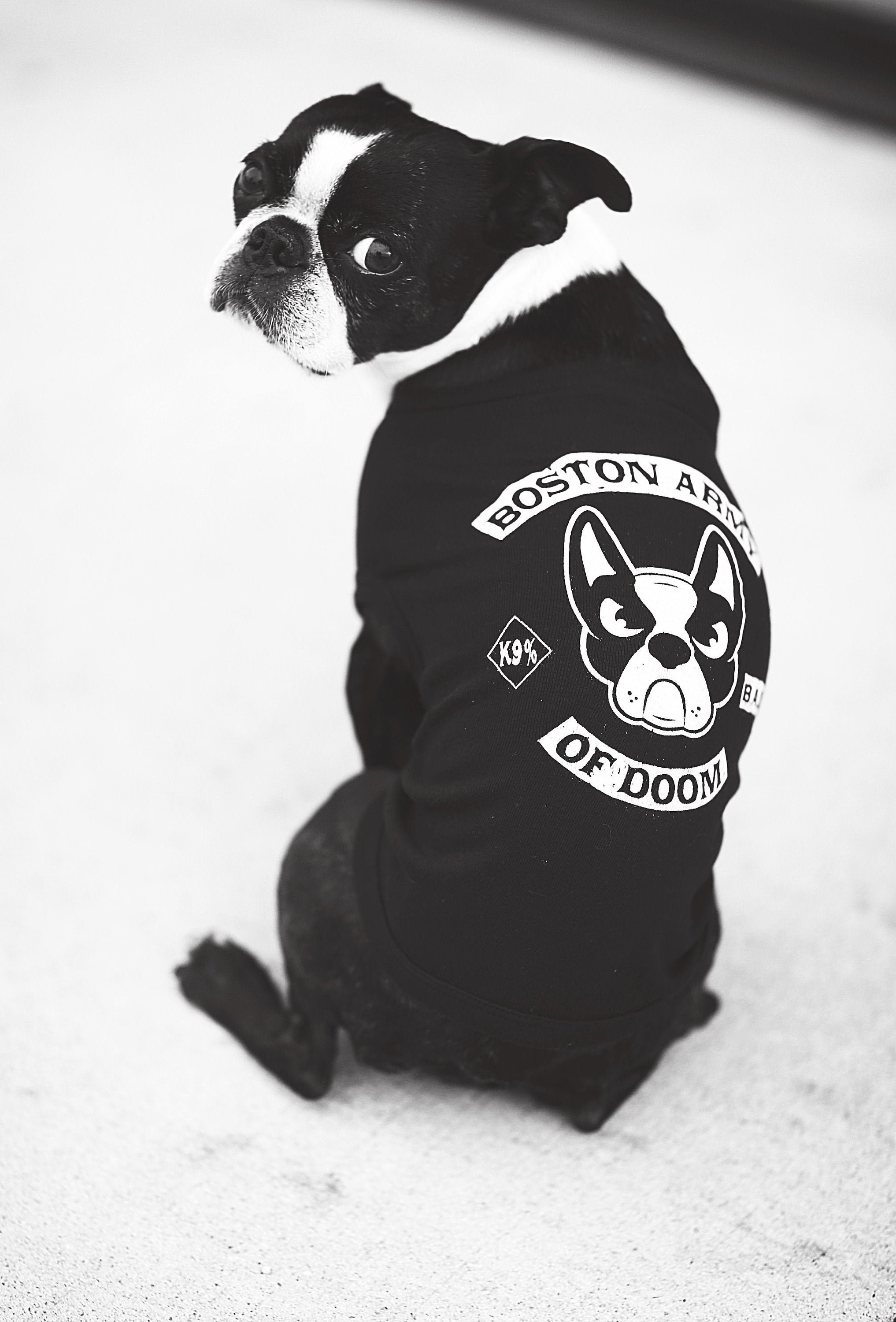 boston terrier apparel