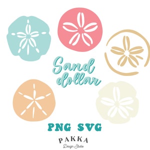 Sand Dollar Set,Beach Shell,Summer,Png sublimation,Svg file for cricut