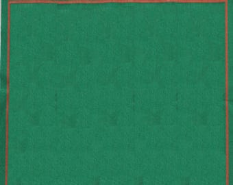 Square Sizes Green Cotton Handmade Rug- Hand Woven High Quality Cotton Flatweave Rug