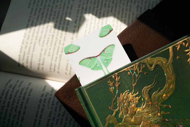 Pode incluir: Um cart&atilde;o branco com uma ilustra&ccedil;&atilde;o de uma mariposa luna verde. A mariposa tem uma faixa vermelha atrav&eacute;s de suas asas. O cart&atilde;o est&aacute; inserido em um livro verde com detalhes em folha de ouro.