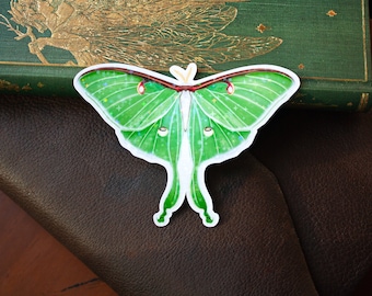 Luna Moth Vinyl Sticker | Holo Butterfly Laptop Sticker  | Forestcore Fantasy | Magical Star Aesthetic | Hydroflask Fairy Accessory