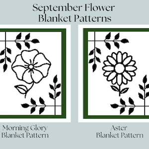 May include: Black and white illustrations of two September flowers, a morning glory and an aster, with the text "Morning Glory Blanket Pattern" and "Aster Blanket Pattern" below each flower.