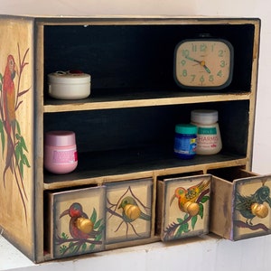 Armoire en bois peinte à la main : tiroirs perroquet indien, armoire de présentation