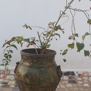 Vintage Style Green Flower Pot/Old Hand Painted Iron Planter/Hand Crafted Iron Metal Vase/Rustic Home Decor/Indoor Plant Holder With Handles