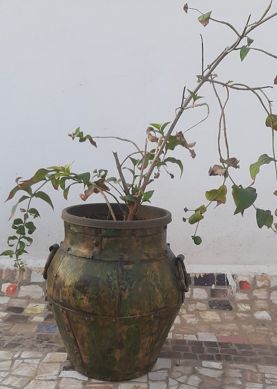 blumenkasten online kaufen Pflanzkasten maßgeschneidert aus Cortenstahl – Individuell vom Hersteller –  Der Stahlgarten