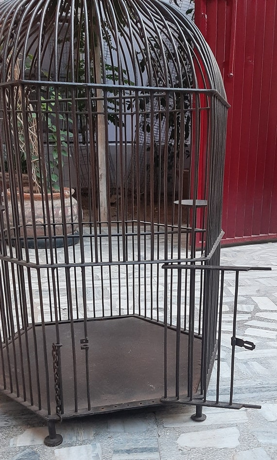 Birds Stainless Steel Black Iron Hanging Bird Cage, For Home Purpose at Rs  1450/piece in Moradabad