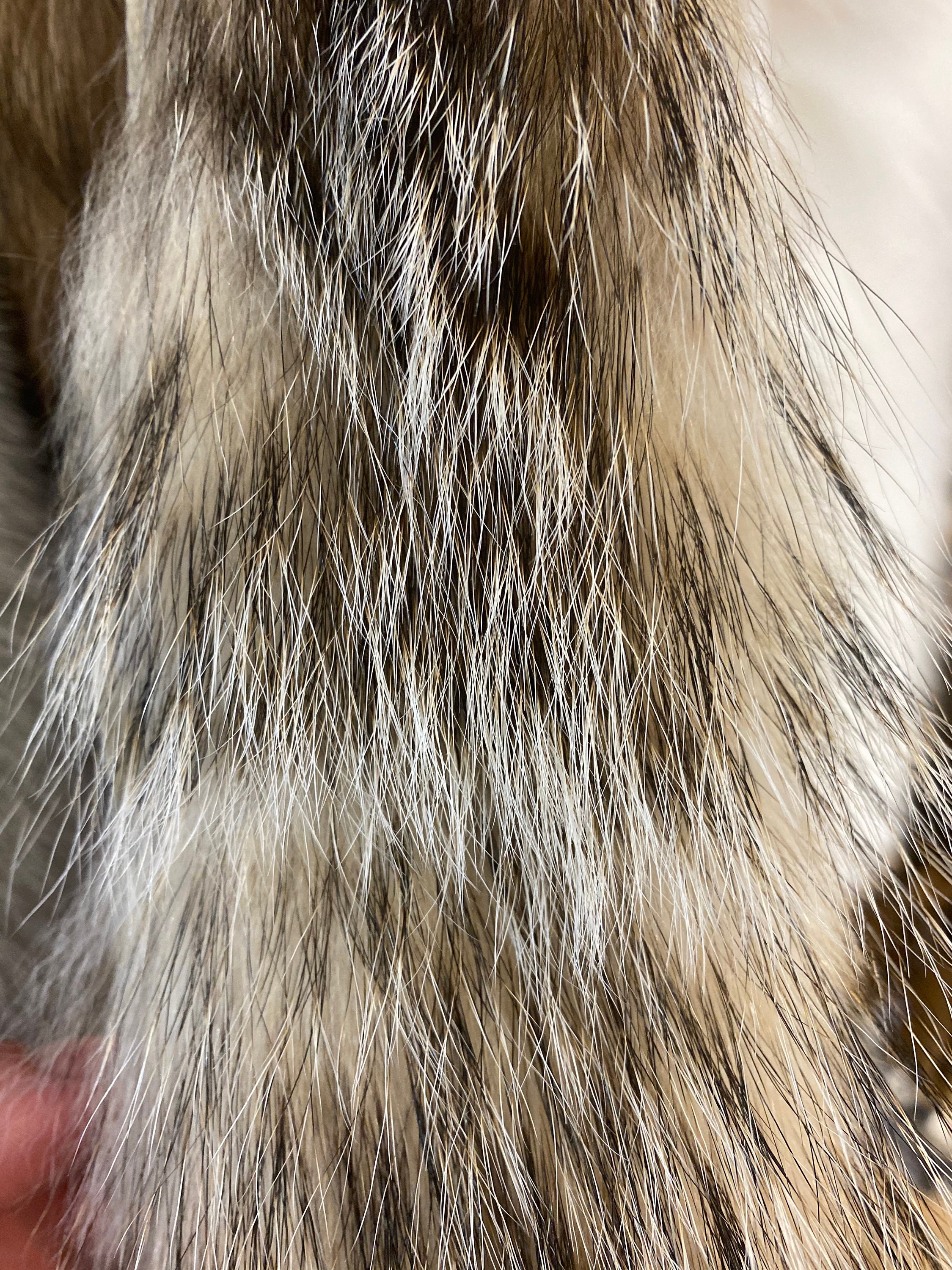 Coyote Fur Parka Strip Real Fur Trim Hood, Canada Goose