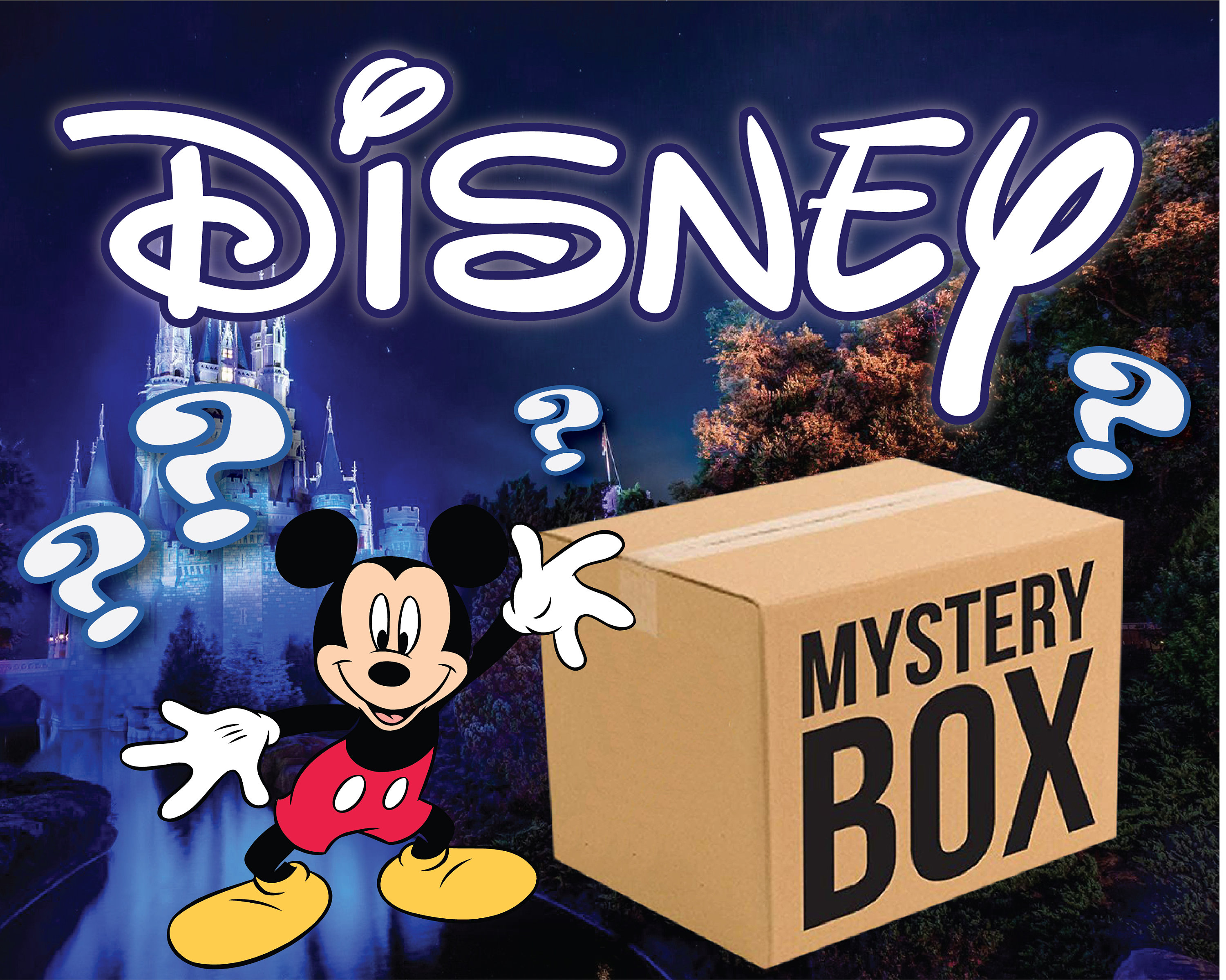 Disney mystery box Disney surprise box Personalized box Etsy