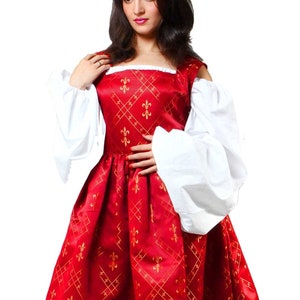 ThePirateDressing Medieval Renaissance Pirate Cosplay Costume Women Dress Gown