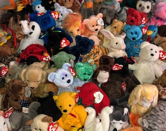 廃盤となったTYビーニーベイビーの説明をご覧になり、ビーニーBをお